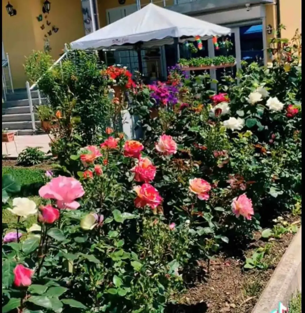 Hotel Villa Linda Shkoder 0*,  Albania