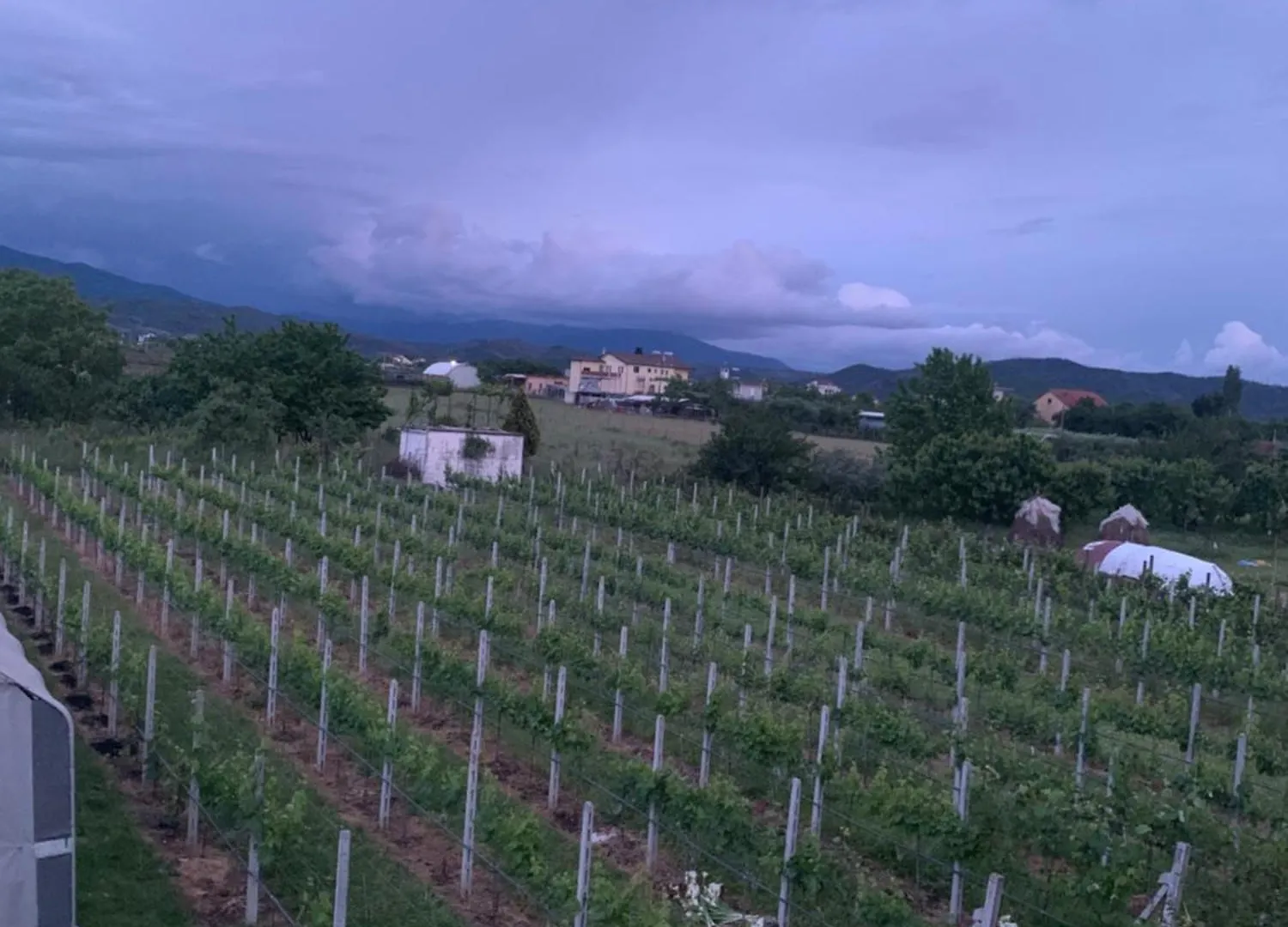 Hotel Villa Linda Shkoder