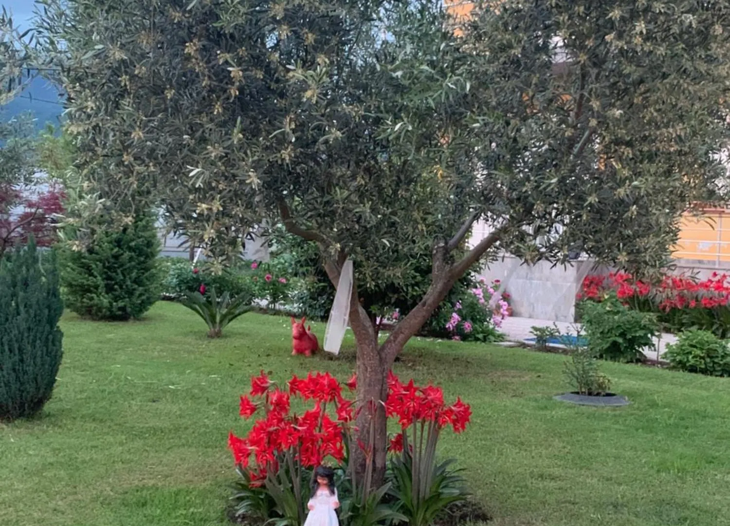 منزل للإقامة Hotel Villa Linda شكودر