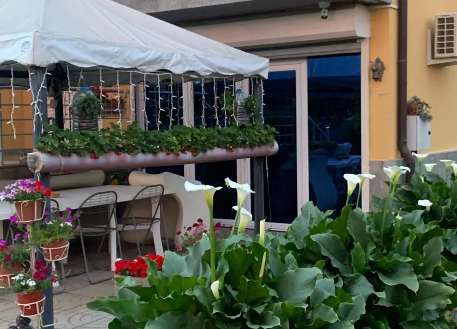 Hotel Villa Linda شكودر ألبانيا