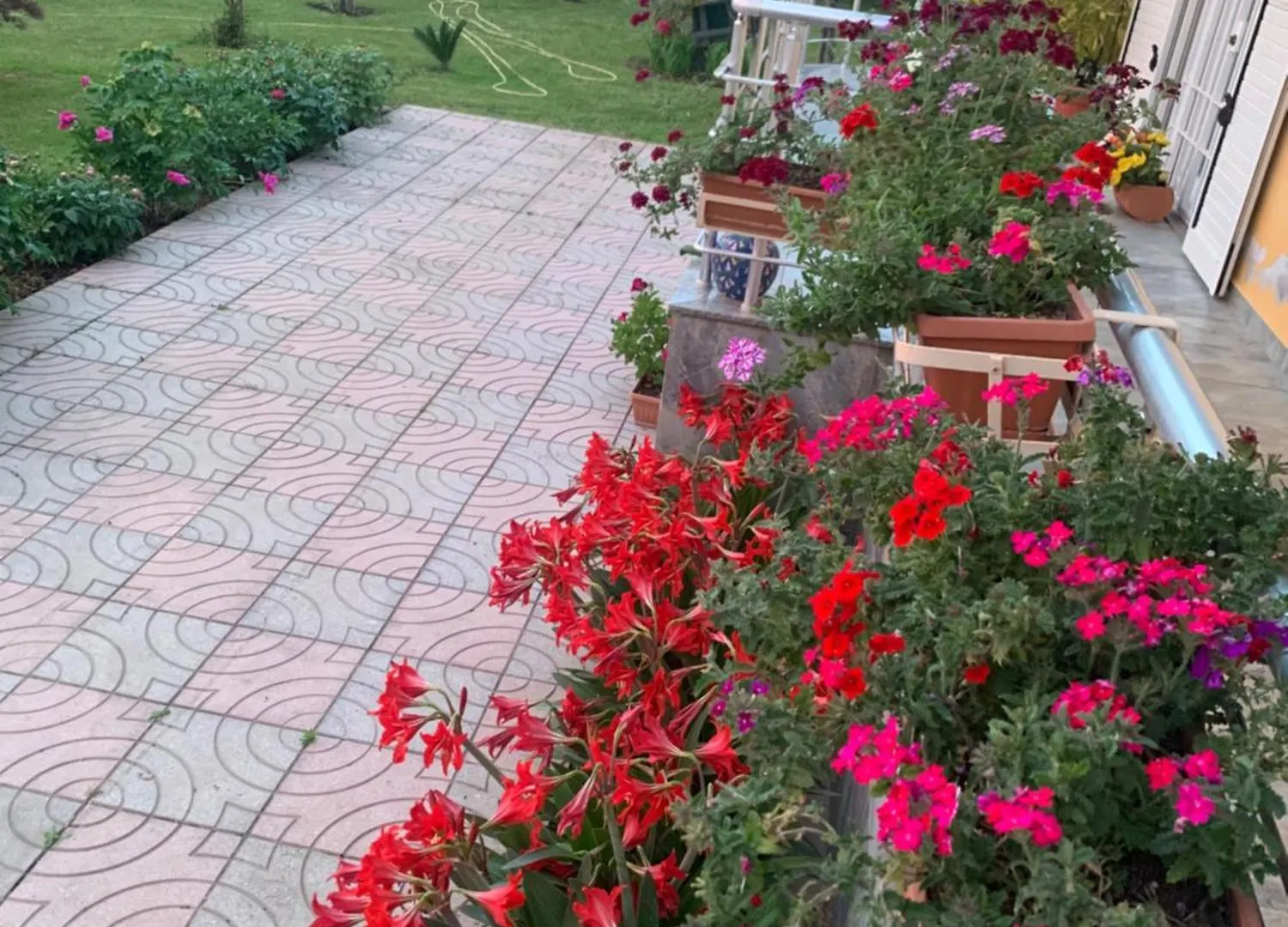 Hotel Villa Linda شكودر